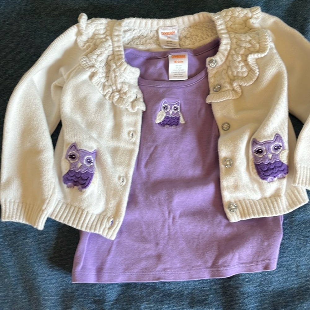 Cute Gymboree Owl set- 18/24 months- $15